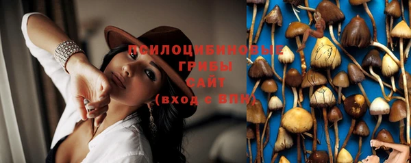 ешки Новокубанск