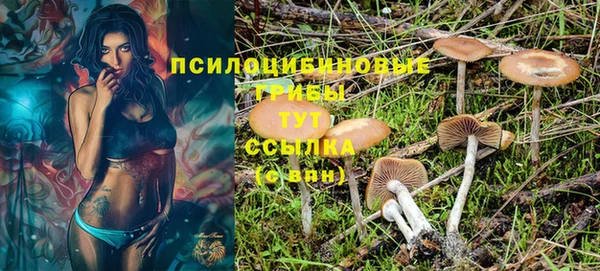 хмурый Новодвинск